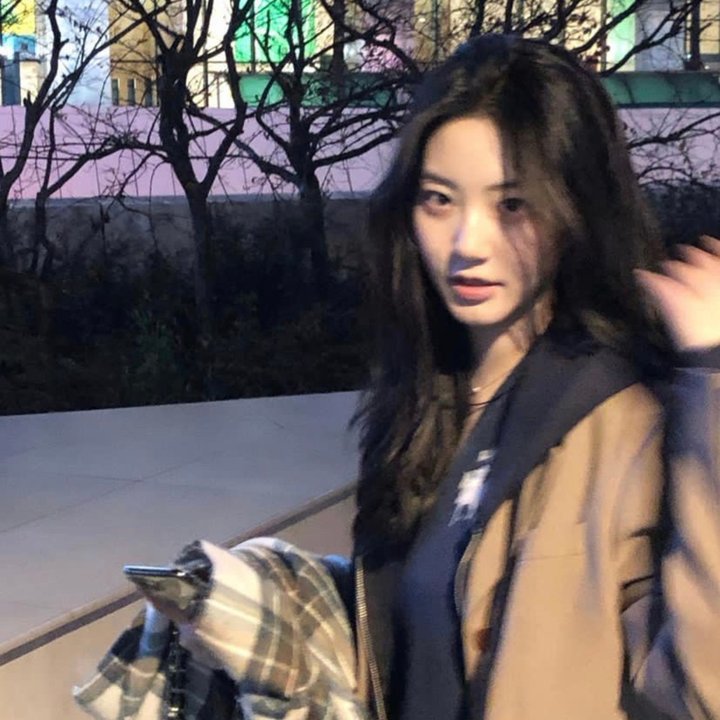 使君有妇